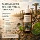 [NEW 26.07]TREEANNSEA Madagascar Wild Centella Ampoule 50ml