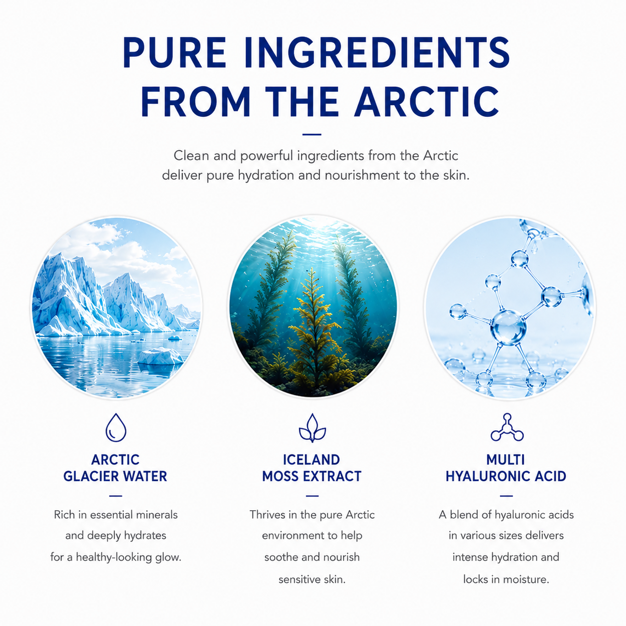 🆕TREEANNSEA Arctic Biome Hyaluron Serum 50ml