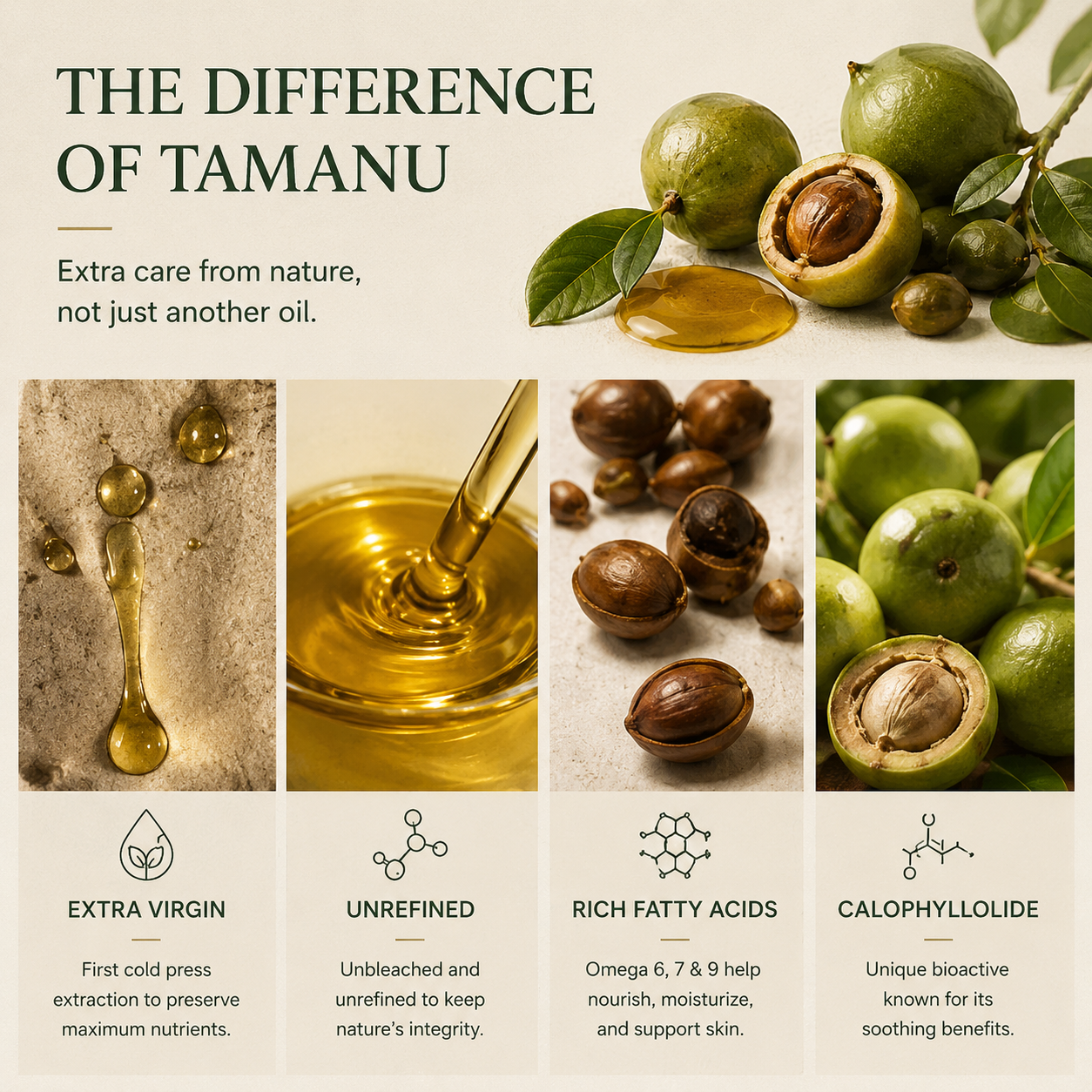 TREEANNSEA Madagascar Tamanu Oil original 30ml