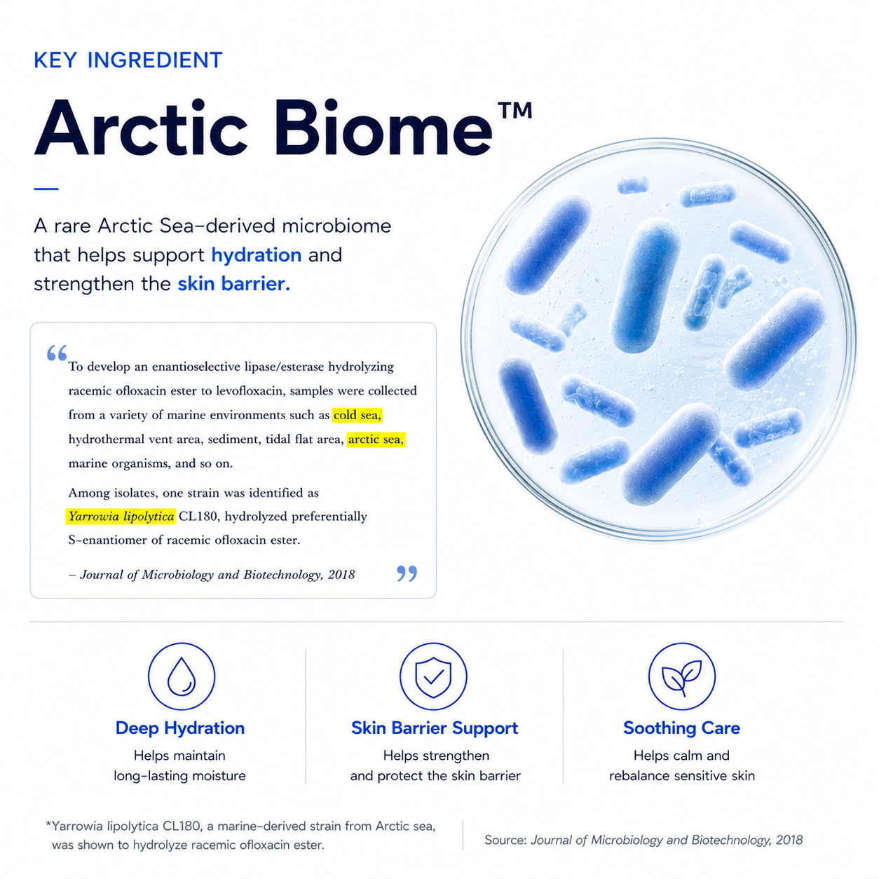 🆕TREEANNSEA Arctic Biome Hyaluron Serum 50ml