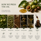 TREEANNSEA Madagascar Tamanu Oil original 30ml