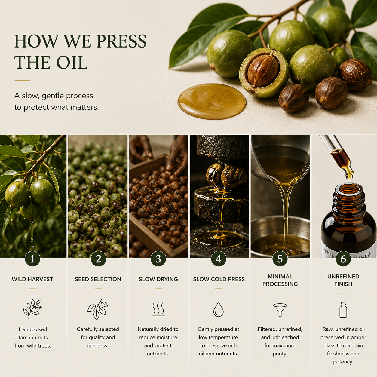 TREEANNSEA Madagascar Tamanu Oil original 30ml