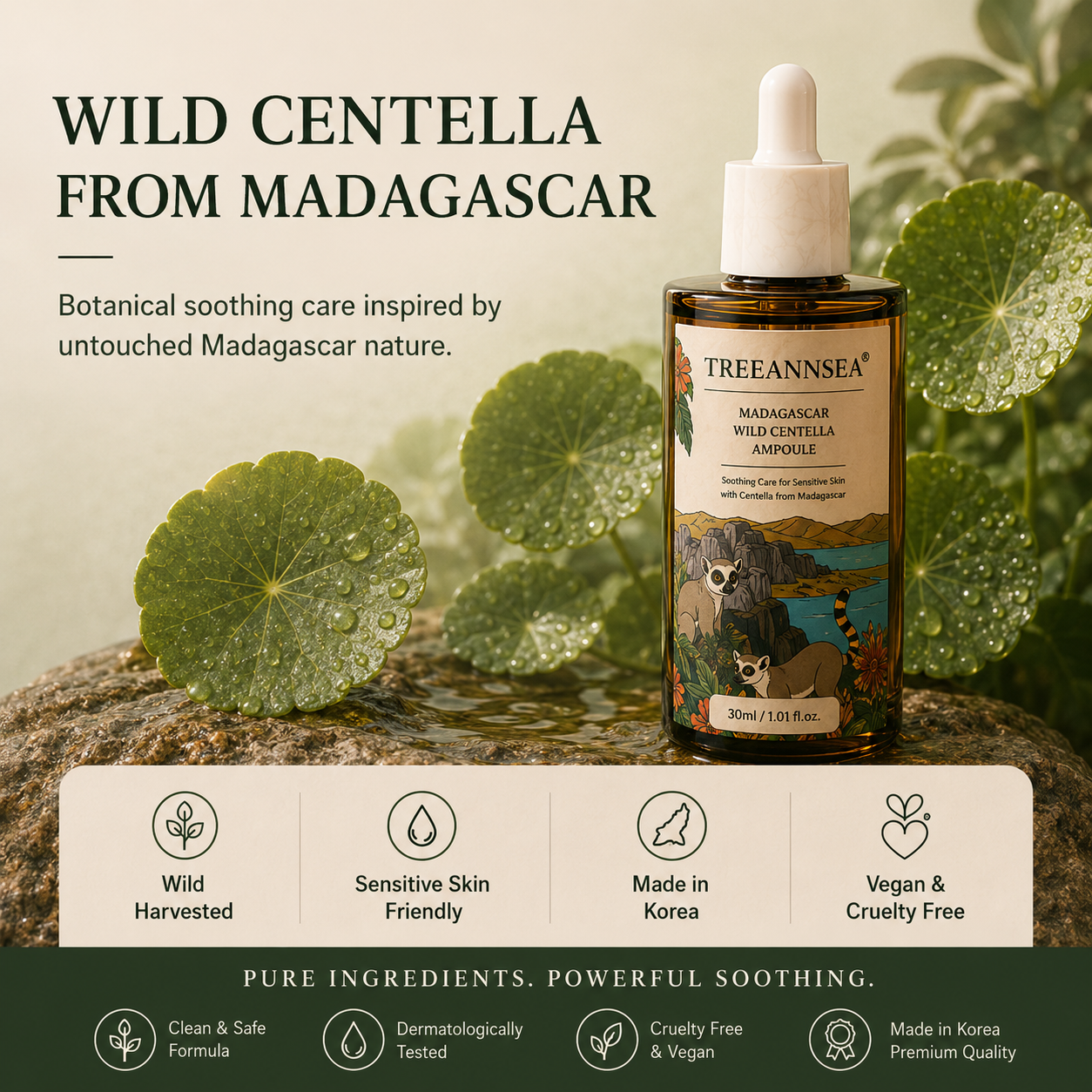[NEW 26.07]TREEANNSEA Madagascar Wild Centella Ampoule 50ml
