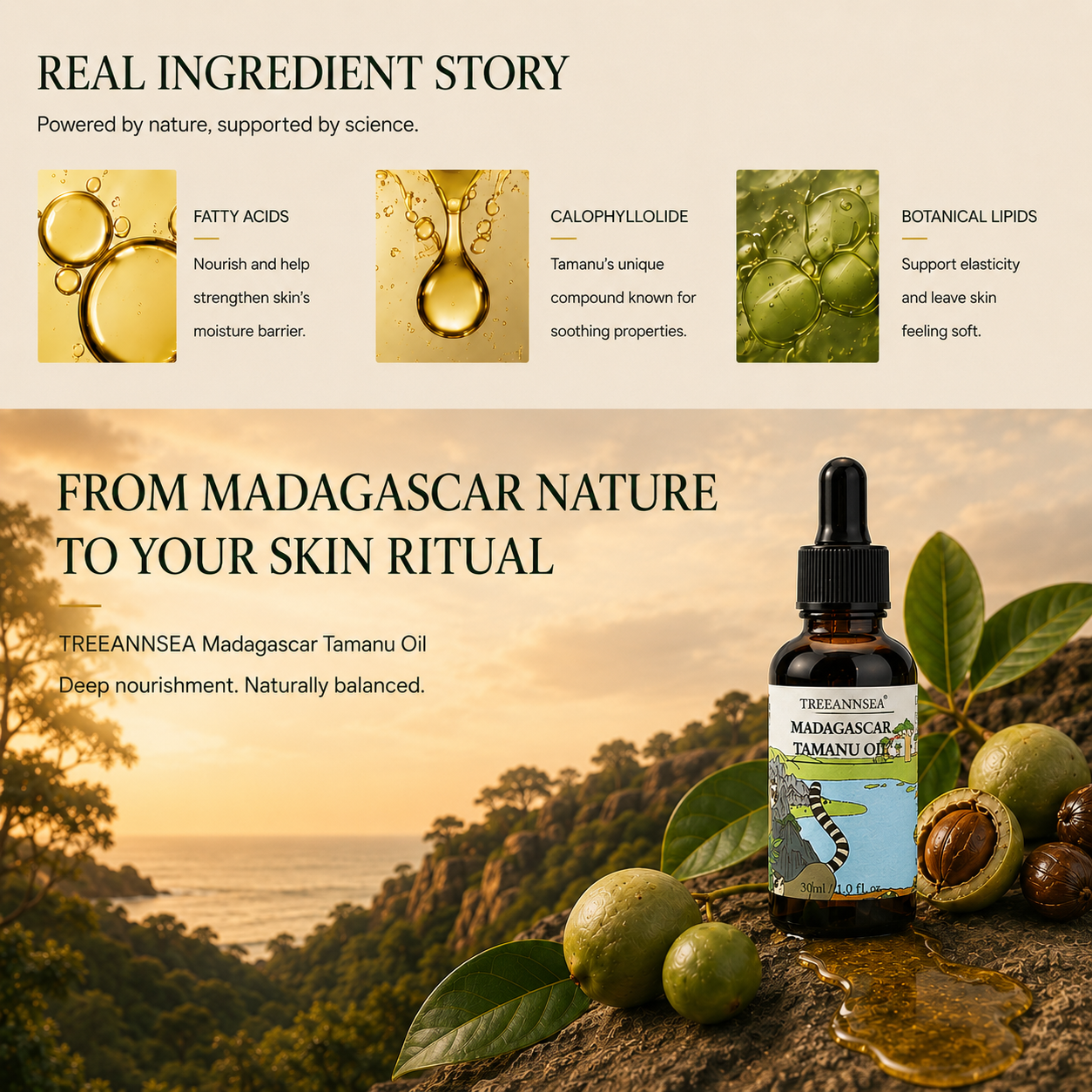 TREEANNSEA Madagascar Tamanu Oil original 30ml