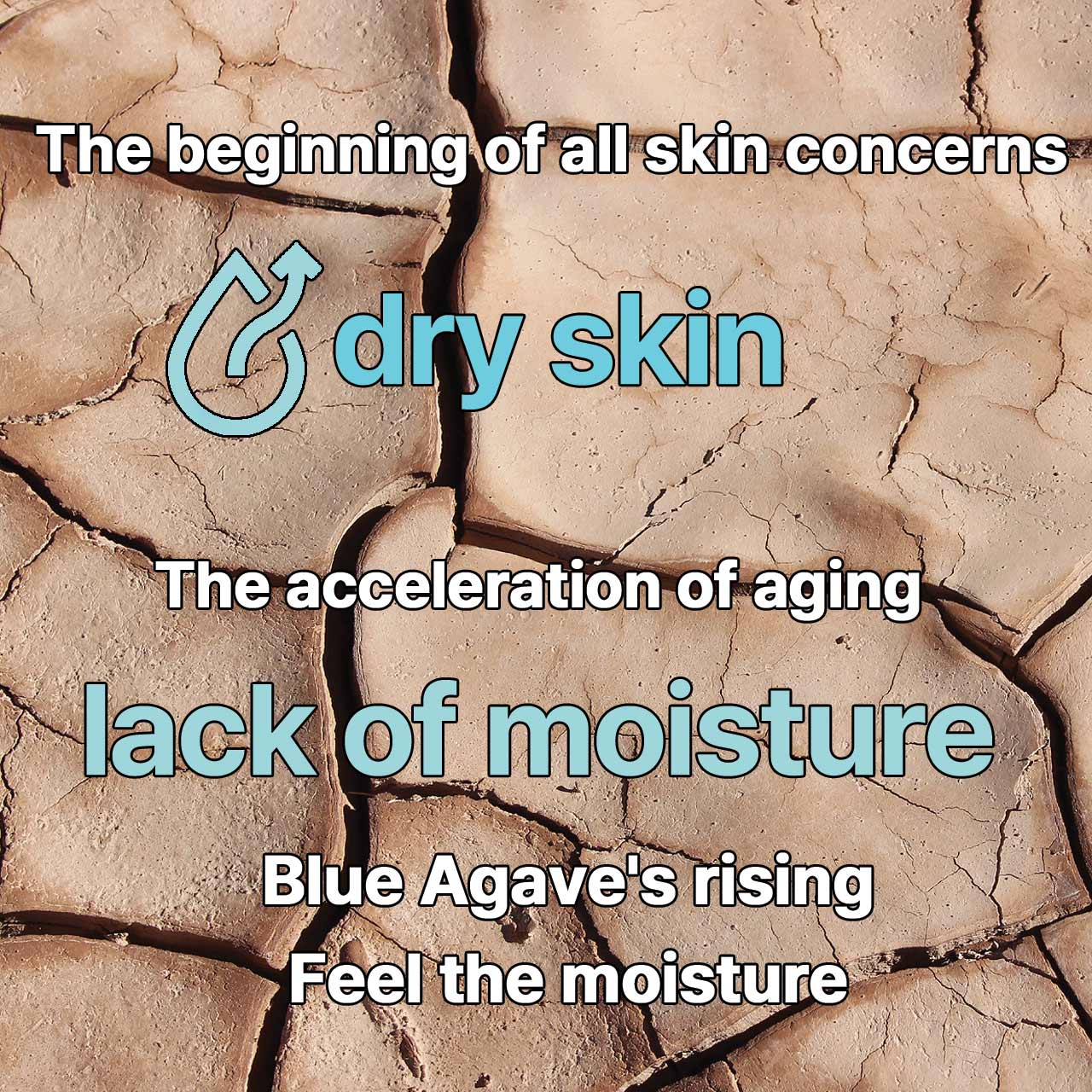 Ampolla de desierto de cactus de agave TREEANNSEA, 1,76 onzas líquidas (50 ml), juego de 3 productos para el cuidado de la piel coreanos