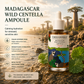 TREEANNSEA Madagascar Wild Centella Ampoule 50ml