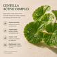 TREEANNSEA Madagascar Wild Centella Ampoule 50ml