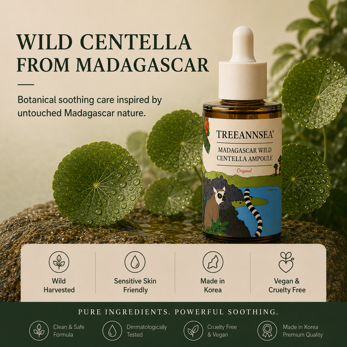 TREEANNSEA Madagascar Wild Centella Ampoule 50ml X2